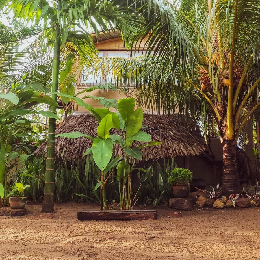 Monsoon Eco Resort - Whisky Point Arugambay Pottuvil Exterior photo