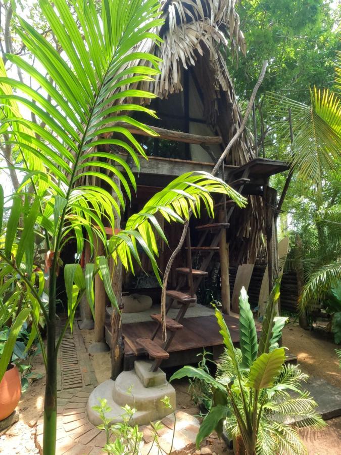 Monsoon Eco Resort - Whisky Point Arugambay Pottuvil Exterior photo