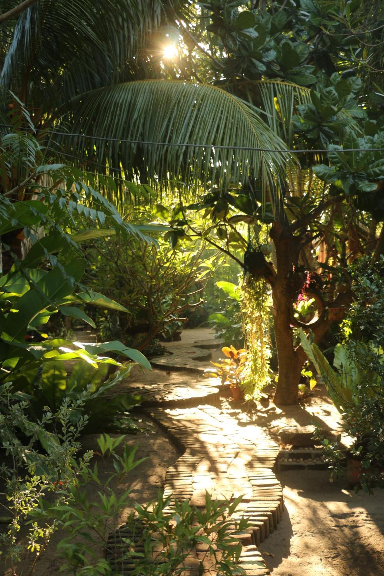 Monsoon Eco Resort - Whisky Point Arugambay Pottuvil Exterior photo